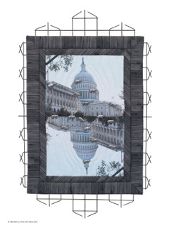 Pigs at the Capitol